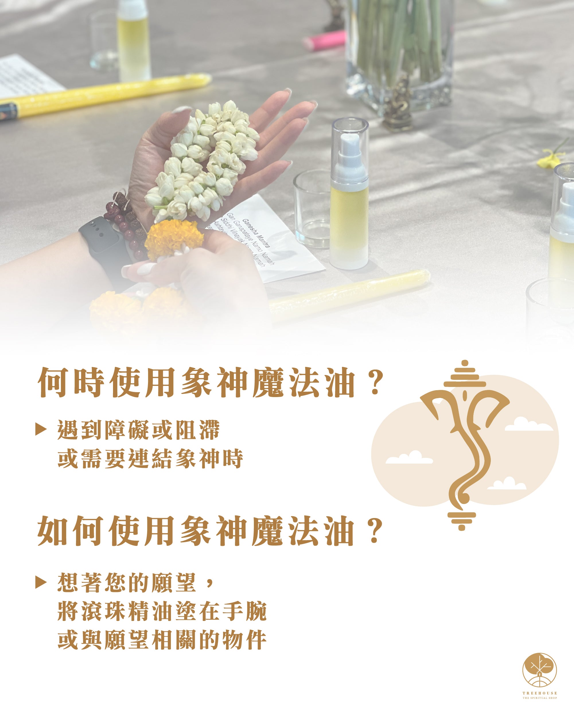 GANESHA Blessing Workshop by Janjan ($980)