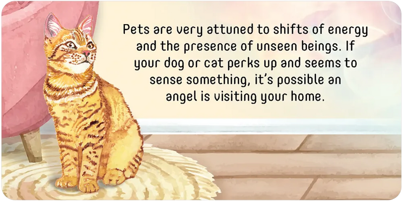 Angel Connections: 40 Message Cards