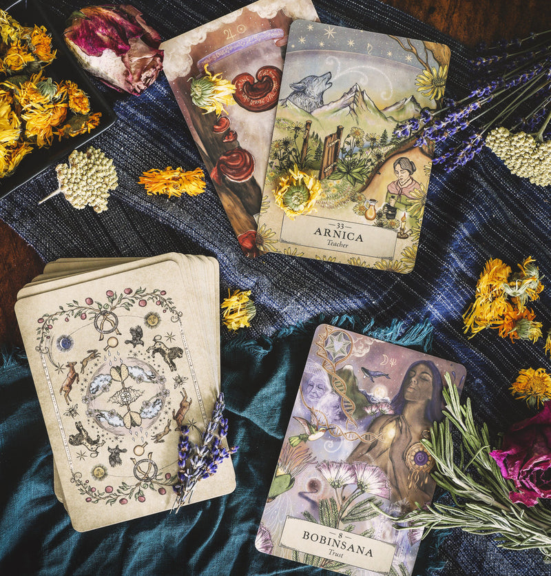 The Herbal Astrology Oracle Cards