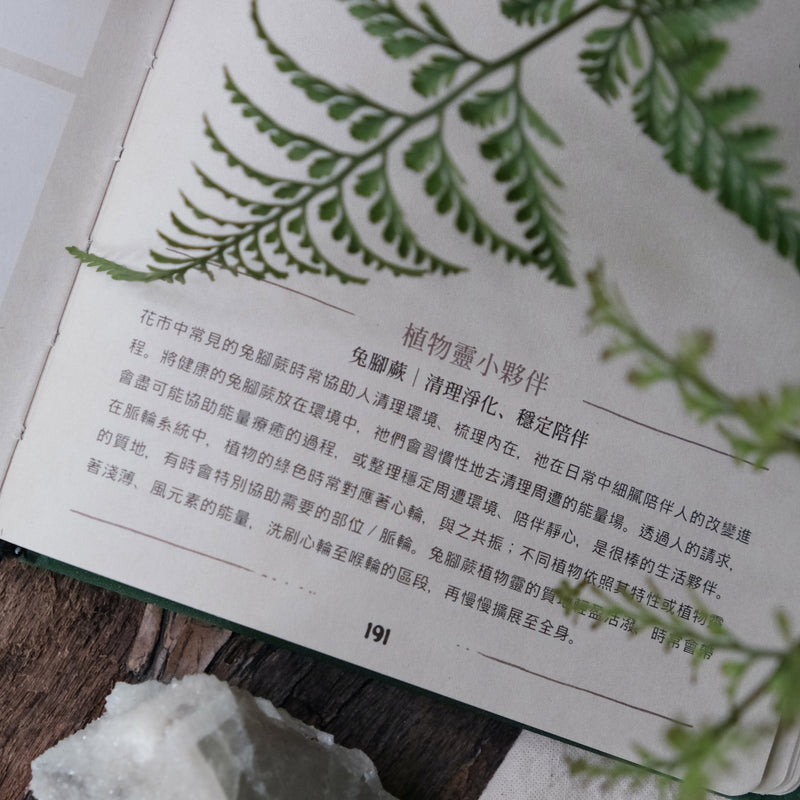 Inner Planner「與植物一起灌溉內在宇宙」無時曆