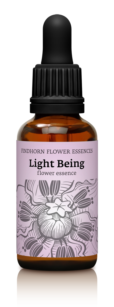 Light Being Combination Essence 30ml Drops