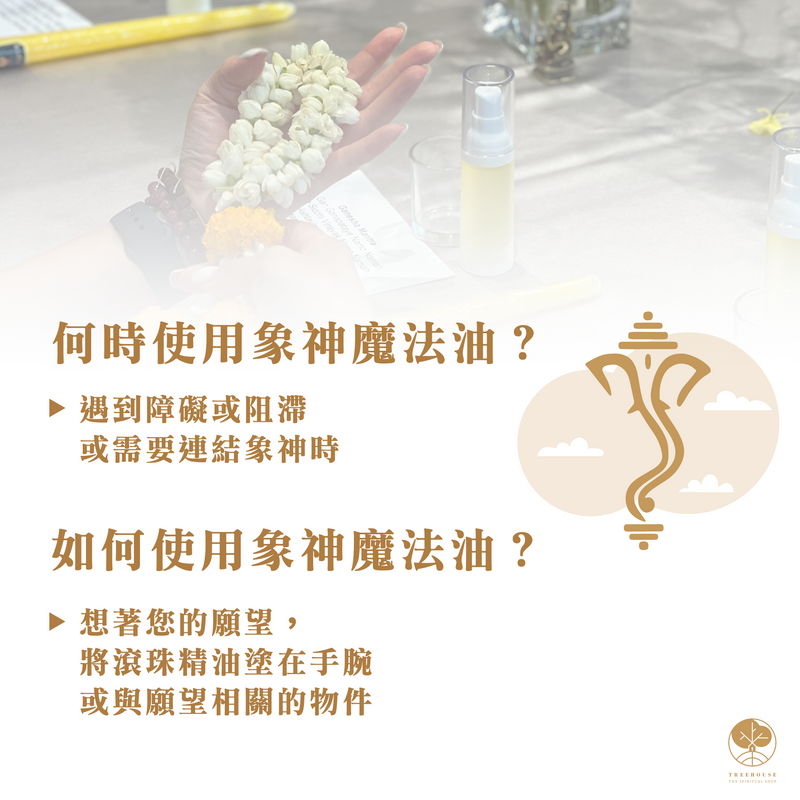 GANESHA Blessing Workshop by Janjan ($980)