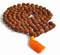 Rudraksha Mallah