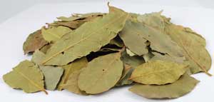 Bay Leaf