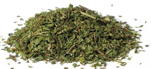 Spearmint Cut (Mentha Spicata)