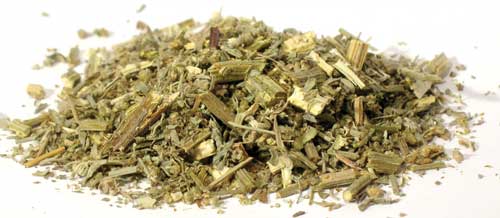 Wormwood Cut (Artemisia Absinthium)