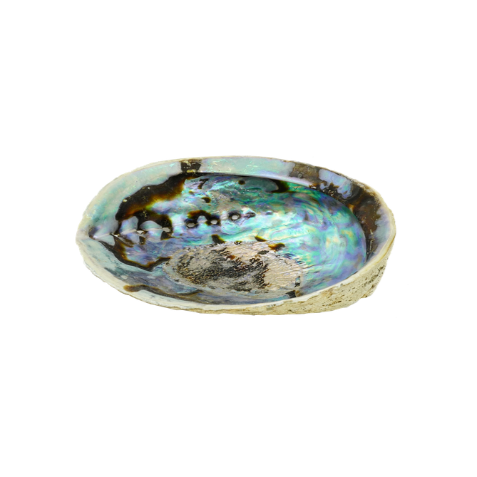 Abalone Shell Burner