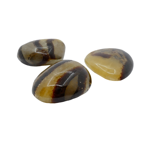 Septaria Tumbled Stone