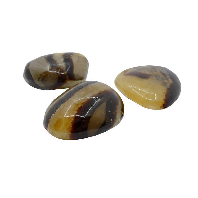 Septaria Tumbled Stone