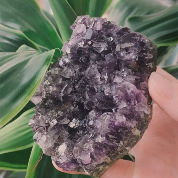 Amethyst Geode