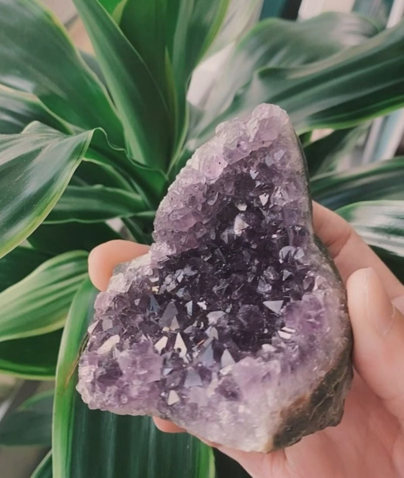 Amethyst Geode