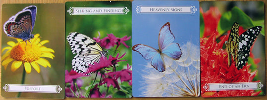 Butterfly Oracle Card