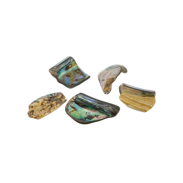 Paua Shell Tumbled Stone