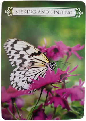 Butterfly Oracle Card