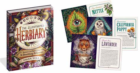 The Illustrated Herbiary Collectible Box Set by Mata Toll