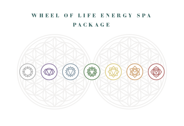 Wheel of Life Energy Spa ($1980 Package of 4)